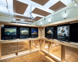 Mechorost jako predátor. Výstava Věda fotogenická ukazuje krásy vědy i humor